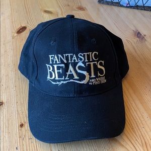 Fantastic beasts hat